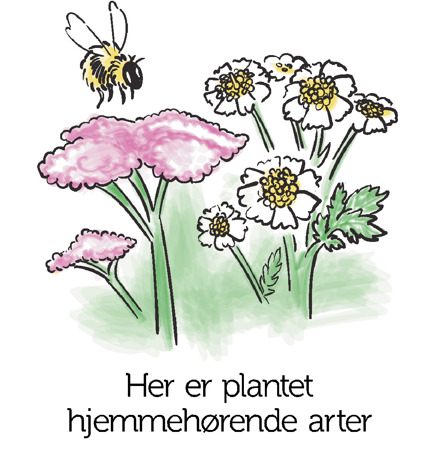 Hjemmehørende arter