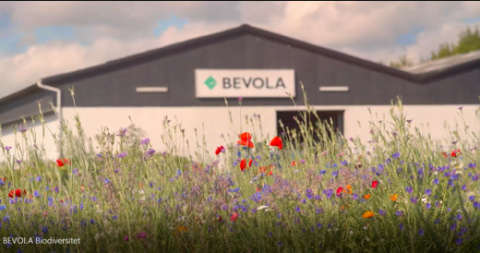 Bevola