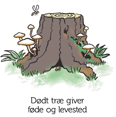 Dødt ved