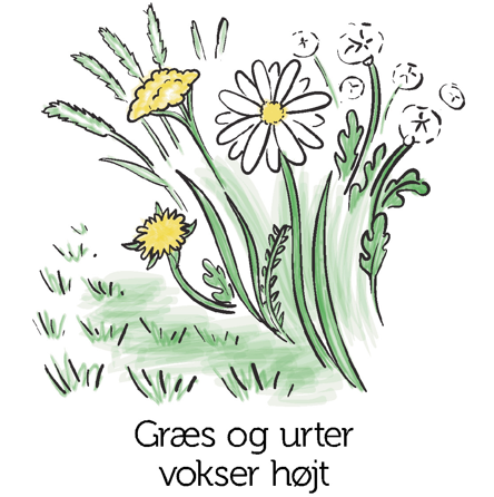Græs vokser